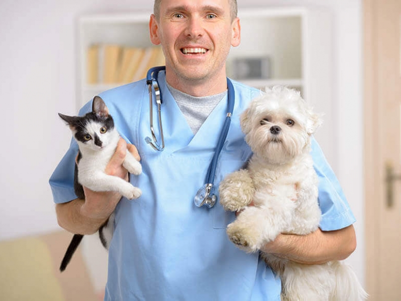 http://veterinaryclinic.cl/wp-content/uploads/2017/04/call1-800x600.jpg